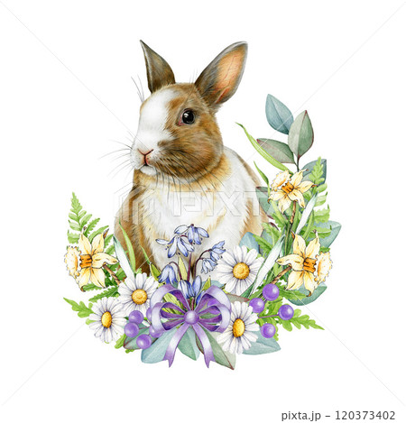 Easter festive decor illustration with cute bunny surrounded by garden primrose flowers. Realistic detailed, perfect for holiday decor, cards and seasonal designs. Isolated on white background 120373402