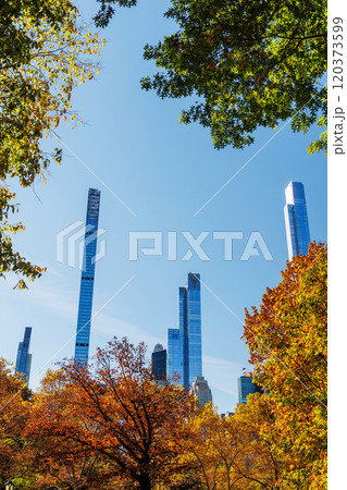 Central Park in New York City on a sunny autumn Central Park in New York City on a sunny autumn 120373599