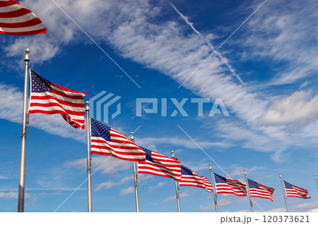 Rows of American flags waving against a blue sky 120373621