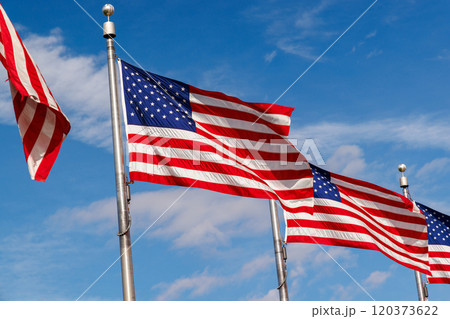 Rows of American flags waving against a blue sky 120373622