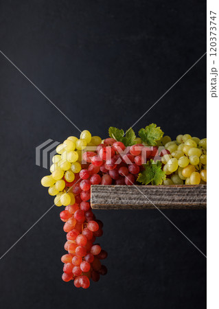 Colorful grapes against a dark background 120373747