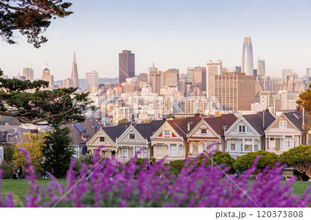 Pastel-colored evening photo of the Painted Ladies in San Francisco Pastel-colored evening photo of the Painted Ladies in San Francisco 120373808