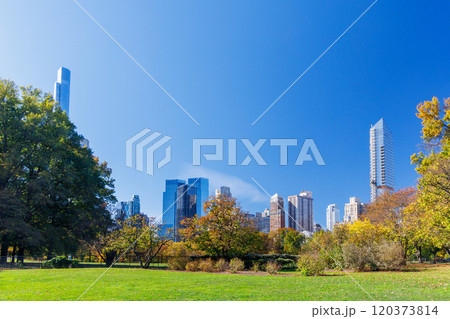 Central Park in New York City on a sunny autumn Central Park in New York City on a sunny autumn 120373814