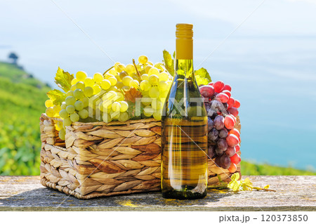 Bottle of white wine and basket of grape Bottle of white wine and basket of grape 120373850
