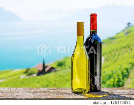 Bottles of red and white wine 120373855