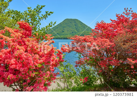 春の群馬県高崎市の榛名湖畔からツツジと榛名富士方面を見る 120373981