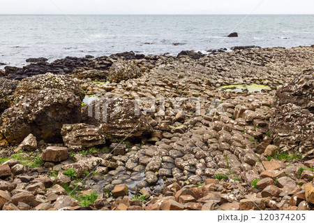 Giant's Causeway hexagonal basalt columns created by volcanic lava cooling and cracking over time 120374205