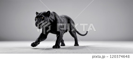 A majestic black panther prowls forward, its sleek body poised and eyes focused. The embodiment of elegance and strength, this powerful predator commands the scene with grace and intensity 120374648