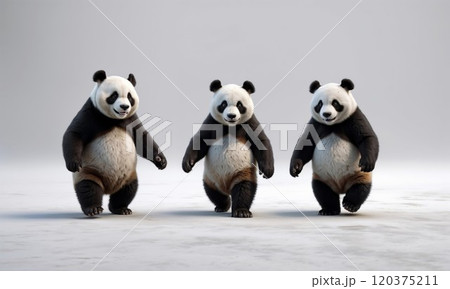 Three playful pandas stand together, facing forward on a minimalistic background, appearing cute and animated with a lighthearted, joyful vibe 120375211