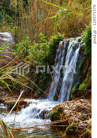 A Serene Waterfall Cascades Over Rocks Surrounded by Lush Vegetation in a Tranquil Forest Setting 120375570