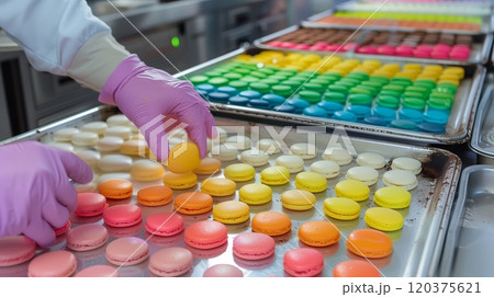 Baker Assembling Colorful Macarons in a Pastry Kitchen During a Busy Afternoon 120375621