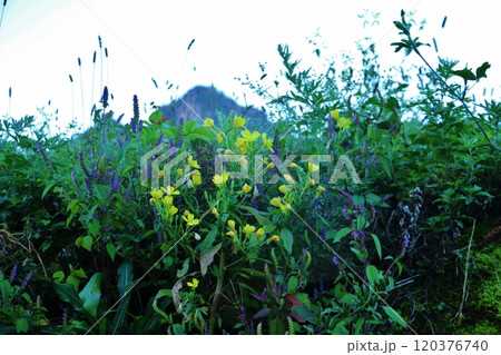 長野県川上村川端下に広がる高原の初秋の風景 120376740