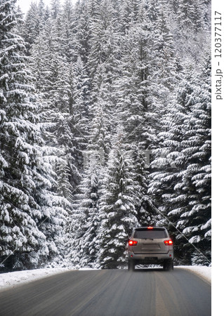 Car on Snowy Mountain Road 120377117