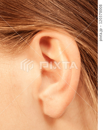 Close up on female ear 120378008