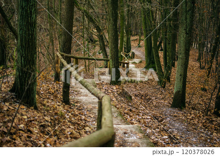 path with a wooden handrail in the forest in late autumn, Gdansk, Poland 120378026