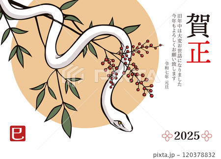 年賀状2025年　巳年　テンプレート 120378832