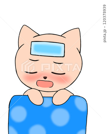 体調不良 熱で寝込んでいる猫 冷やす 発熱 風邪 体調不良 熱で寝込んでいる猫 冷やす 発熱 風邪 120378939