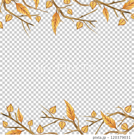 Bare tree branches, autumn leaves, square frame for postcards and invitations. All objects are hand-drawn with yellow and brown watercolor. Suitable for printing and scrapbooking. 120379031
