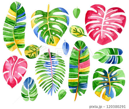 set of colorful, bright flowers and tropical leaves. abstraction, psychedelic. 120380291