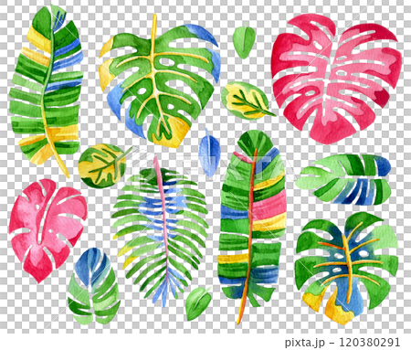 set of colorful, bright flowers and tropical leaves. abstraction, psychedelic. 120380291