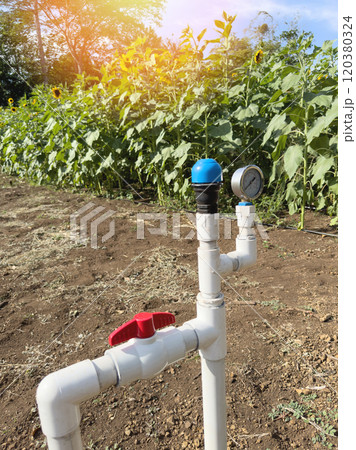 Water sprinkle irrigation pipes 120380324