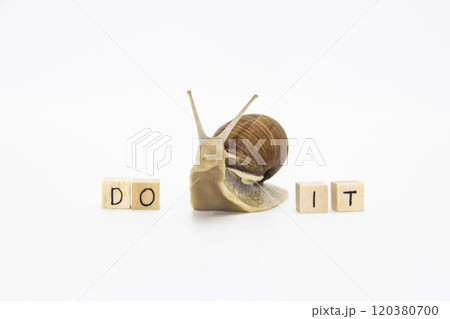 Beautiful grape snail move between wooden cubes. On cubes written words DO IT 120380700