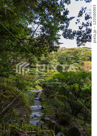 本間美術館庭園（鶴舞園） 120380903