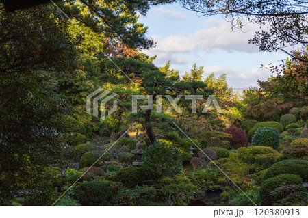 本間美術館庭園（鶴舞園） 120380913