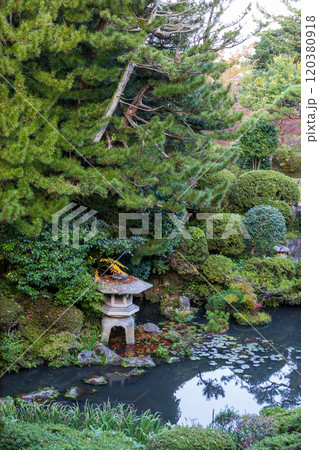 本間美術館庭園(鶴舞園) 本間美術館庭園(鶴舞園) 120380918