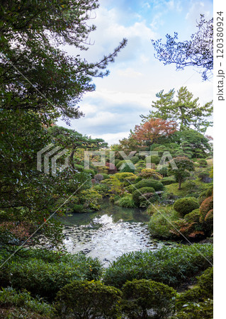 本間美術館庭園(鶴舞園) 本間美術館庭園(鶴舞園) 120380924