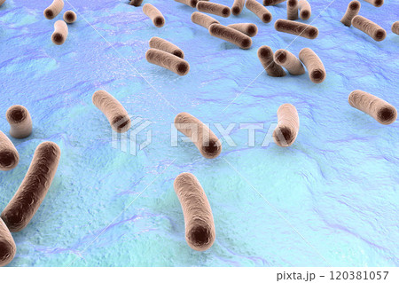 Bacteria on surface of skin, mucous membrane or intestine Bacteria on surface of skin, mucous membrane or intestine 120381057