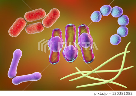 Microbes of different shapes 120381082