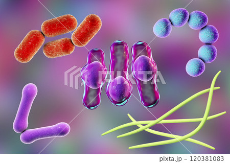 Microbes of different shapes 120381083