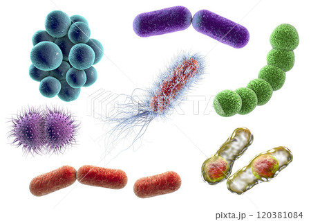 Microbes of different shapes 120381084