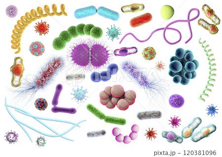 Microbes of different shapes 120381096