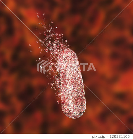 Destruction of bacterium, conceptual image for the use of antibiotics and other antibacterial agents 120381106