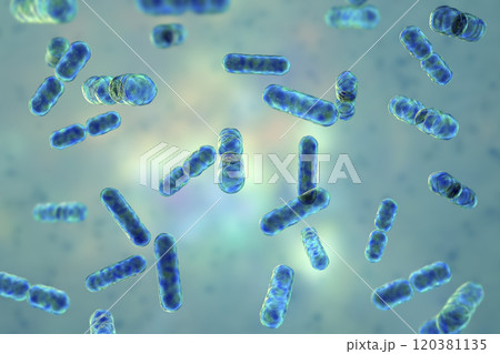 Bacteria Bacteroides, 3D illustration Bacteria Bacteroides, 3D illustration 120381135