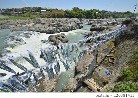 闘龍灘の流れ 120381413