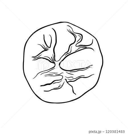 Rustic rye round bread black white vector illustration isolated. Sourdough rye boule bread hand drawn by ink monochrome sketch. Pumpernickel bread top view for bakeshop, packaging paper, bakery. 120381483