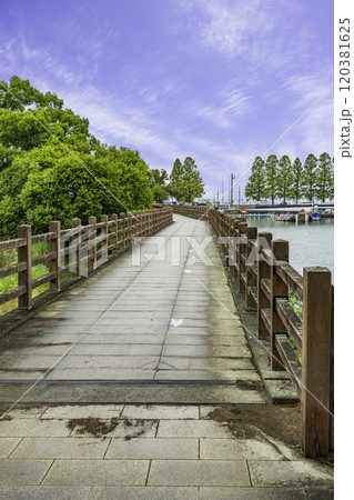 大津 膳所城跡公園 滋賀県大津市 大津 膳所城跡公園 滋賀県大津市 120381625