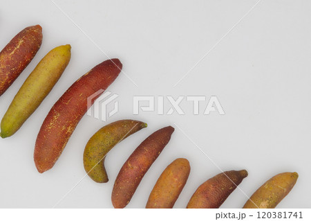 白背景と並べたフィンガーライム　オーストラリア原産の珍しい柑橘 120381741