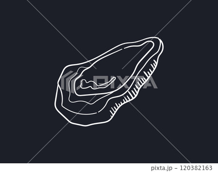 黒板アート風線画、牡蠣 120382163