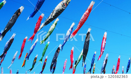 「川口芝川鯉のぼり祭り2024」のこいのぼりと青空の美しい風景 120382363
