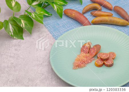 青い皿に盛り付けられているフィンガーライム　フィンガーライムの断面と果肉の粒 120383336