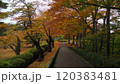 秋田 千秋公園の紅葉 120383481