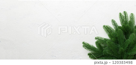 Christmas holiday background with copy space for advertising text. Fir branches on color background . Flat lay, top view 120383498