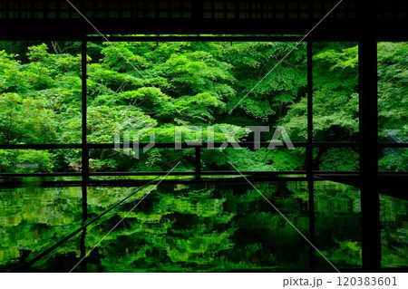 青もみじと書院の風景 青もみじと書院の風景 120383601