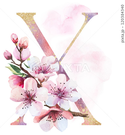 Watercolor and golden letter X with pink cherry flowers and buds, wedding sakura isolated element 120384340