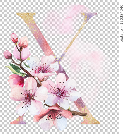 Watercolor and golden letter X with pink cherry flowers and buds, wedding sakura isolated element 120384340