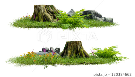 collection grass field, No background easy to move by drag and drop to main project 120384662
